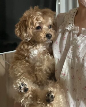 Kim Ah-young Instagram - 아빠한테 전화가 왔다 축하한다고 그래서 내가 물었다 뭐를?? 드라마?? 아니 인스타 20만 된거!! 엄청웃었더니 아빠는 아영이의 1호팬이라고 했다 아빠가 너무 귀여웠다 그래서 20만기념 20장 이모저모✌🏻🌼 .🍃🐶🌸📝⚽️😈✏️🍭👙💛
