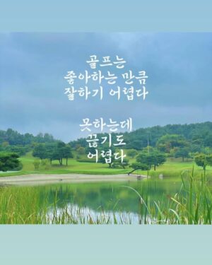 Kim Ji-hye Instagram - 어제 하루 잘~~보냈다
.
신사동 맛집
.
김포 #쇼골프 
.