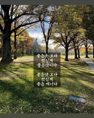Kim Ji-hye Instagram - 어제 하루 잘~~보냈다
.
신사동 맛집
.
김포 #쇼골프 
.