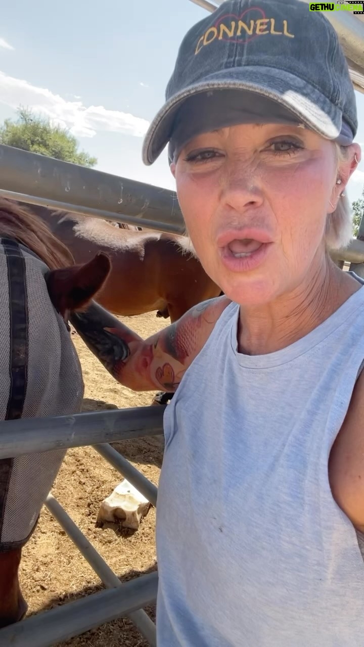 Kim Rhodes - 4.7K Likes - I haven’t hit you with animal content recently. HERE!!! Give @stathorsesanctuary a follow for actual names. (I did not wear a hat with the wrong name on purpose but I do think it’s hilarious. I am not @ruthie_connell)