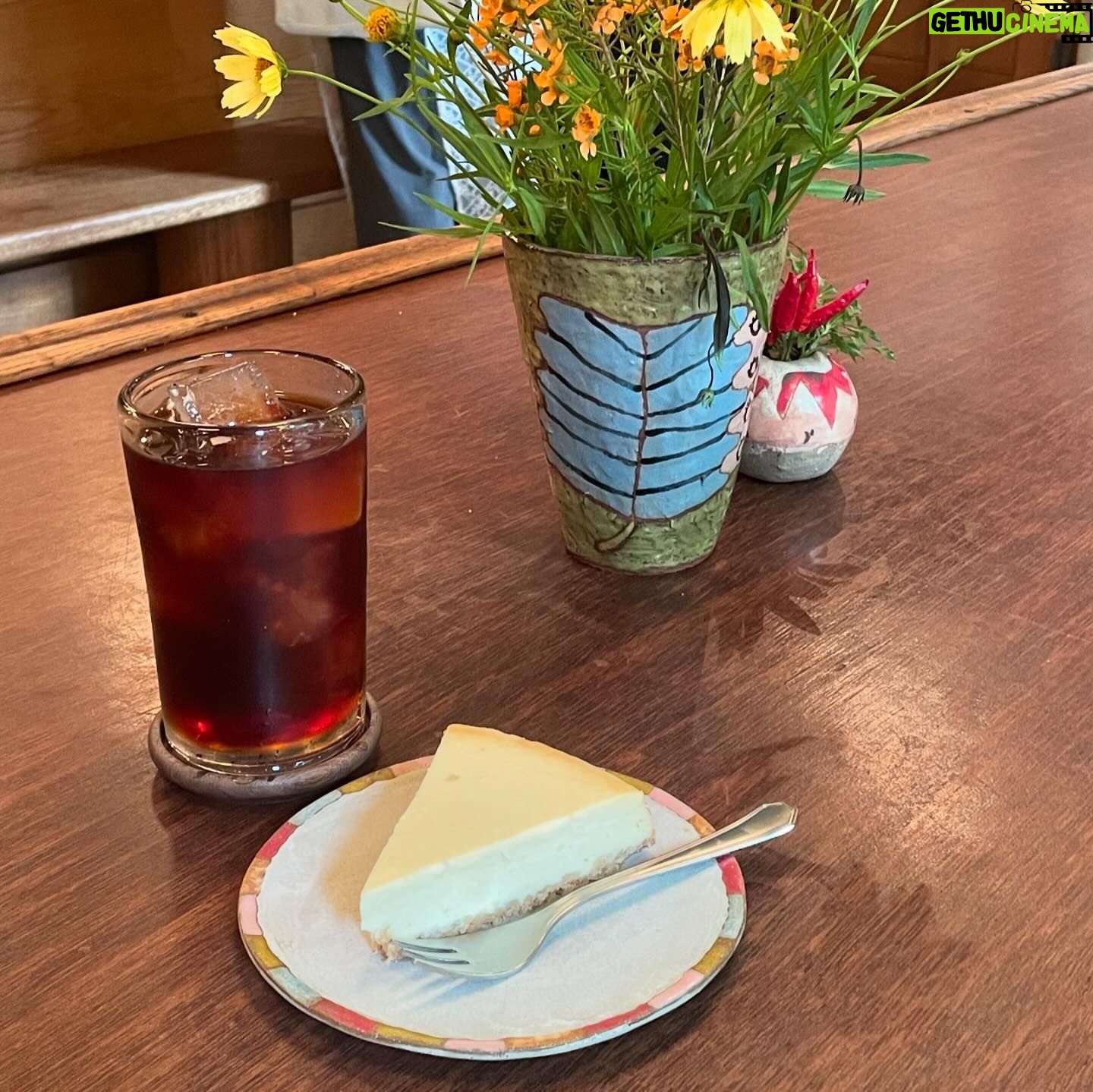 Konatsu Kato - 7.5K Likes - 1日に2回チーズケーキを食べて、夜ご飯は兄と友達とチーズまみれのピザを作って食べたから、私はチーズ。