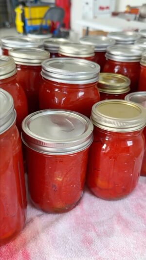 Laura Vitale Instagram - A treasured tradition in our family and something I know we will be doing for years and years to come. This year we had some other important things that took precedence so canning 300 jars of sauce wasn’t in the cards but it’s still something we will treasure and do for years to come! Do you can tomatoes in your family? I have a whole highlight with the process (just scroll back on all my highlight bubbles till you find it) and I know each family has their way of doing it and this is simply our way. My nonna, her mom, and many women before her have always done them this way so it’s a treasured gift that I continue it and you know I will! ♥️