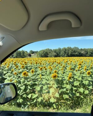 Laury Thilleman Instagram - Merci l’été 🌞