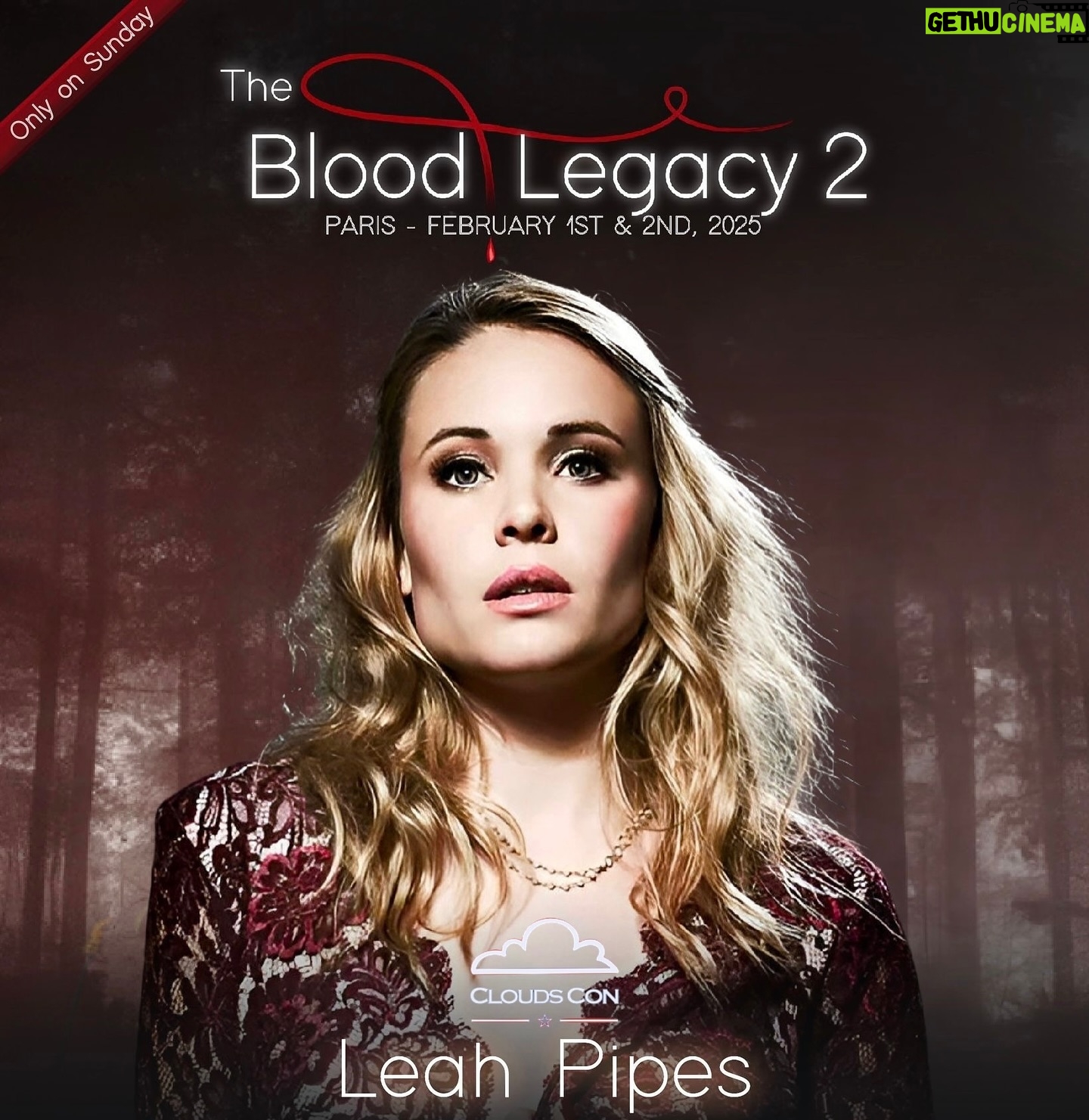 Leah Pipes - 3 Likes - It’s happening! The first three epic stops of my 2024/2025 international comic con tour are here, and I can’t wait to see you! 🌍
🇩🇪 Germany
🇫🇷 France
🇺🇸 USA
I’m ready for all the hugs, selfies, and unforgettable memories with my favorite people… you guys! And trust me, this is just the beginning. More dates and cities coming soon... 👀
Drop a comment and let me know where you want me to show up next!