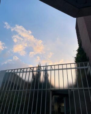 Lee Jin-ha Instagram - 이사를 했다. 걱정이 앞섰던 혼자삶이었는데 웬걸. 바선생 능가하는 적응력. 내가 가진지도? 너무 좋다.
무튼 이제 좀 집도 좀 집같아지고 살만하여 내 루틴을 정립하는 중.
정신없는 와중에 촬영 일을 제외한 자투리 일상들 기록 겸 공유-

내 주간의 공간에 추가된 블루스와 술루스 (술루스는 아직 체력에 부친다)
내 입에 딱 맞는 길냥이 식단(꽤 프리미엄)
혹냥🐈께서는 건재하면 그루밍 부터 한다지. 나는 유튜브 노래방을 해.
염분 가득 빵빵이 얼굴
미소 췤 ✅
코파는 거 아니고. 연기가 아닙니다. 오해는 싫어잉
감자지옥에서 탈출한 건에 대하여