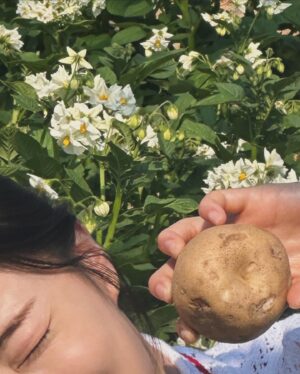 Lee Sun-bin Instagram - ✨🧏🏻‍♀️🐈🥔