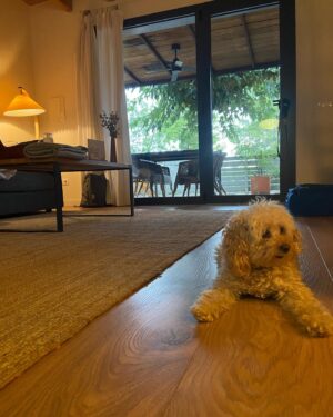 Leticia Dolera Instagram - La “micro vacasion” arranca con: trabajo de mesa y lluvia.