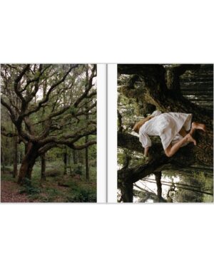 Lily Cole Instagram - Beautiful moments adventuring with trees, cliffs, stones and Aurora Solá’s mind 🌞 for The Plant Magazine 🌱 ~ grateful for 2 years of exploring landscapes together ~

Aurora’s intro to our conversation :
“Sintra is a place frequently cloaked in fog and other less apparent forms of mystery. The name itself derives from Cynthia, the Greek goddess of the moon. Legends and tales of apparitions are as easy to come by as the natural springs that dot the Promontorium Lunae. Its oak forests house species from almost every latitude, product of the massif’s genial climate, Portugal’s long colonial traipsings and the local noblesse’s penchant for botanical competition.

Lily and I went for a stroll through some of our fa-vourite paths in Sintra. It would, perhaps, have been better to stare in silence at the thrumming, waving, bristling presences that surrounded us. But as Sintra’s spirits gestured to us, we gave in to words, and along the way the conversation touched on eleven different animals, as well as angels, demons, other horned creatures and then, too, on the wayward power of intelligence.“

Photos by @irishumm 
~
@theplantmagazine @carolmontpartstudio @carolmontpart @sighlab