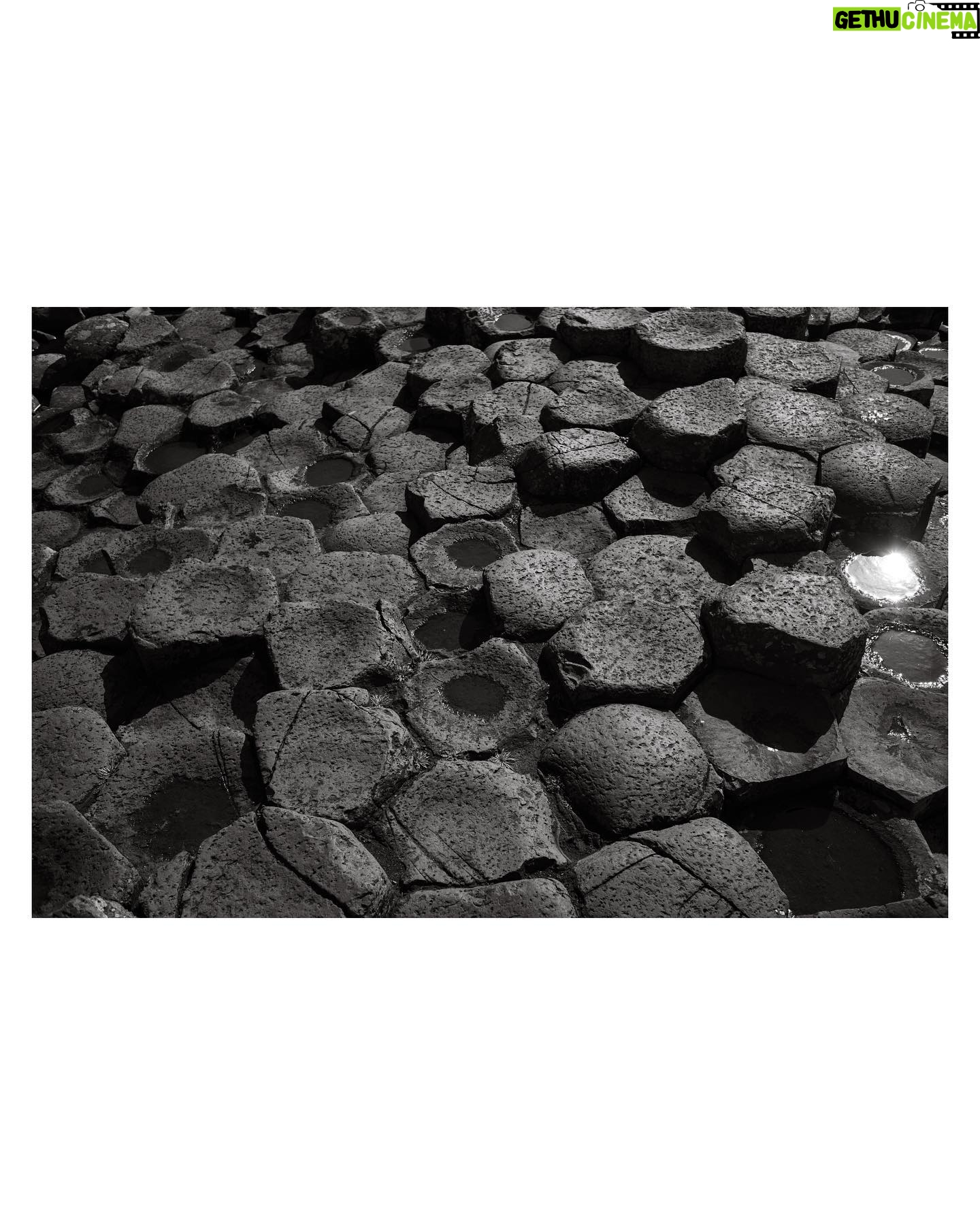 Lily Cole - 3 Likes - rock hive ~ 40,000 basalt hexagonal columns ~ formed from a lake of lava 50-60 million (or so) years ago ~ the hexagon is the most efficient shape to tessellate into ~ perhaps nature knows it’s the most beautiful shape too ~ as the bees do (divine) geometry
📷 @jacksonparrell