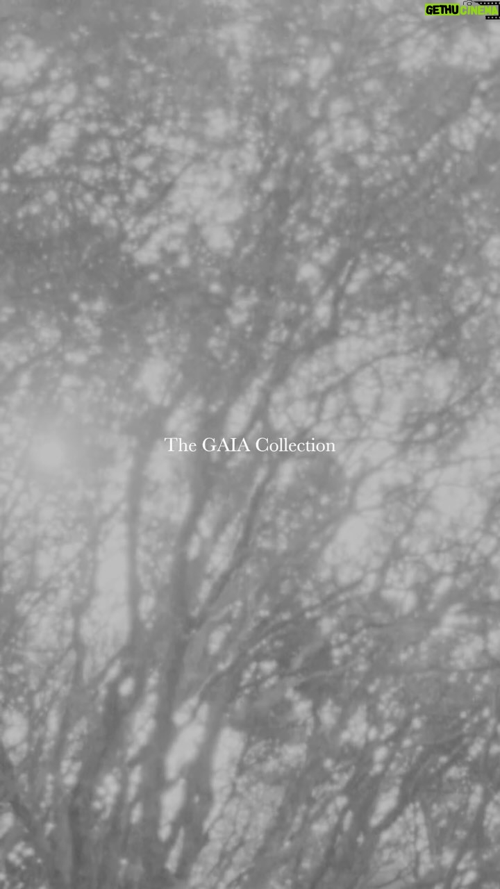 Lily Cole - 3 Likes - Presenting Gaia, our exclusive fine jewellery collection in collaboration with brand ambassador Lily Cole.
A collection to create a moment of conversation and reflection. Speaking to the interconnection, between us and Mother Nature.
You can read more about our new exclusive collection through the link in our bio.
#SkydiamondXLilyCole #byskydiamond