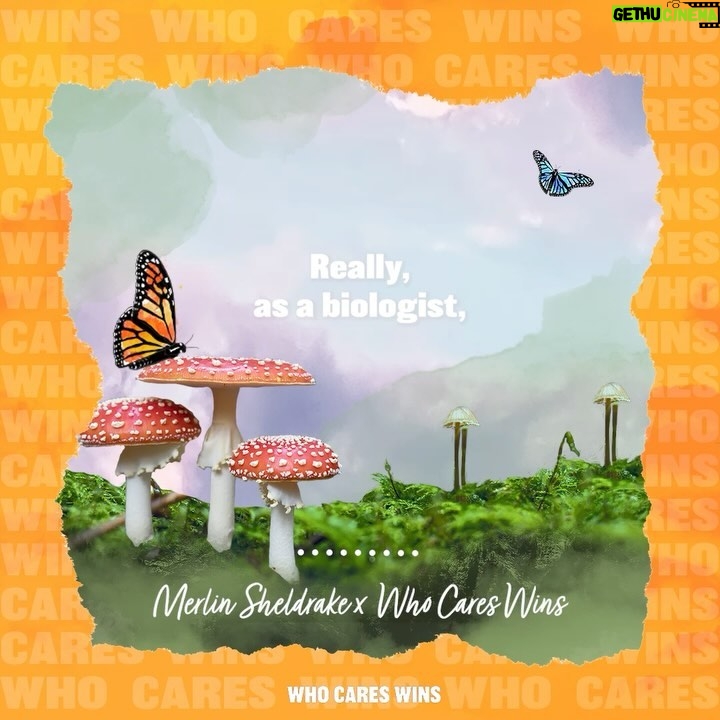Lily Cole - 3 Likes - Third & final @whocares.wins podcast episode w magician musician mycologist Merlin š šāš«
For this last episode in the āinner ~ outer landscapesā triptych for season 3 of Who Cares Wins, I spoke with my friend, biologist (also avid fermenter & accordion player) @merlin.sheldrake about how the leading edge of science invites us to shake up old perspectives on reality and our place and possibilities within it.
We also discussed more-than-human legal rights, cooperation, entanglement, and ~ in spite of sciencesā best efforts to understand life ~ how wonderfully mysterious it all remains āØ
Link in my profile & via @whocares.wins to listen ~
Thank you:
@merlin.sheldrake @moth_rights
Sound design @waterpistoljames
Graphics by @beapeach.co
Podcast supported by @impossible
Music by @merlin.sheldrake & @cosmosheldrake