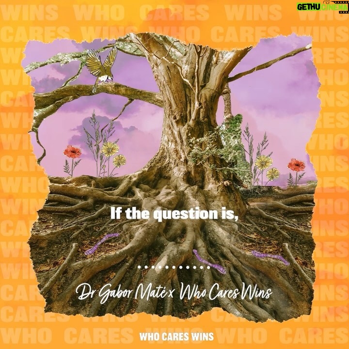 Lily Cole - 3 Likes - In this @whocares.wins podcast, Dr Gabor MatƩ speaks about authenticity, compassionate self-inquiry, and how our internal reality shapes our world.
This is episode 2 of the triptych of @whocares.wins podcasts that explore the connections between our inner and outer landscapes. You can find the podcast in my profile link ~
Dr Gabor MatĆ© is a Canadian physician who has written many best-selling books on childhood development, trauma, and addiction. His book on addiction received the Hubert Evans Prize for literary non-fiction. For his groundbreaking medical work and writing he has been awarded the Order of Canada. His most recent book is āThe Myth of Normal: Trauma, Illness and Healing in a Toxic Cultureā
Thank you toā¦.
@gabormatemd
Sound design @waterpistoljames
Graphics by @beapeach.co
Podcast supported by @impossible
& @harvestseries