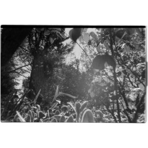 Lily Cole Instagram - New @whocares.wins podcast episode ~ link in my profile. This is the first in a triptych of episodes from Who Cares Wins exploring the connections between our inner landscapes and outer landscapes. 

For this first episode, I spoke with pioneering economist Kate Raworth (Doughnut Economics) and Sister True Dedication (former journalist and a Zen Buddhist nun ordained by Vietnamese peace activist and monastic Thich Nhat Hanh).

I loved speaking to these women, and eavesdropping on their conversation. We discussed the nature of humanity, the nature of reality, and how Zen concepts such as Inter-Being might be applied to the cultural assumptions that lie underneath our economic and political realities. 

At the end of this ‘Earth’ week (every week obviously being Earth week) I hope you enjoy this offering ✨

〰️〰️〰️

Thank you @waterpistoljames @claudiapereiradelgado @beapeach.co & @impossible for your work on this!

Thank you @cfigueres @outrageoptimism and @plumvillagefrance for bringing us together.