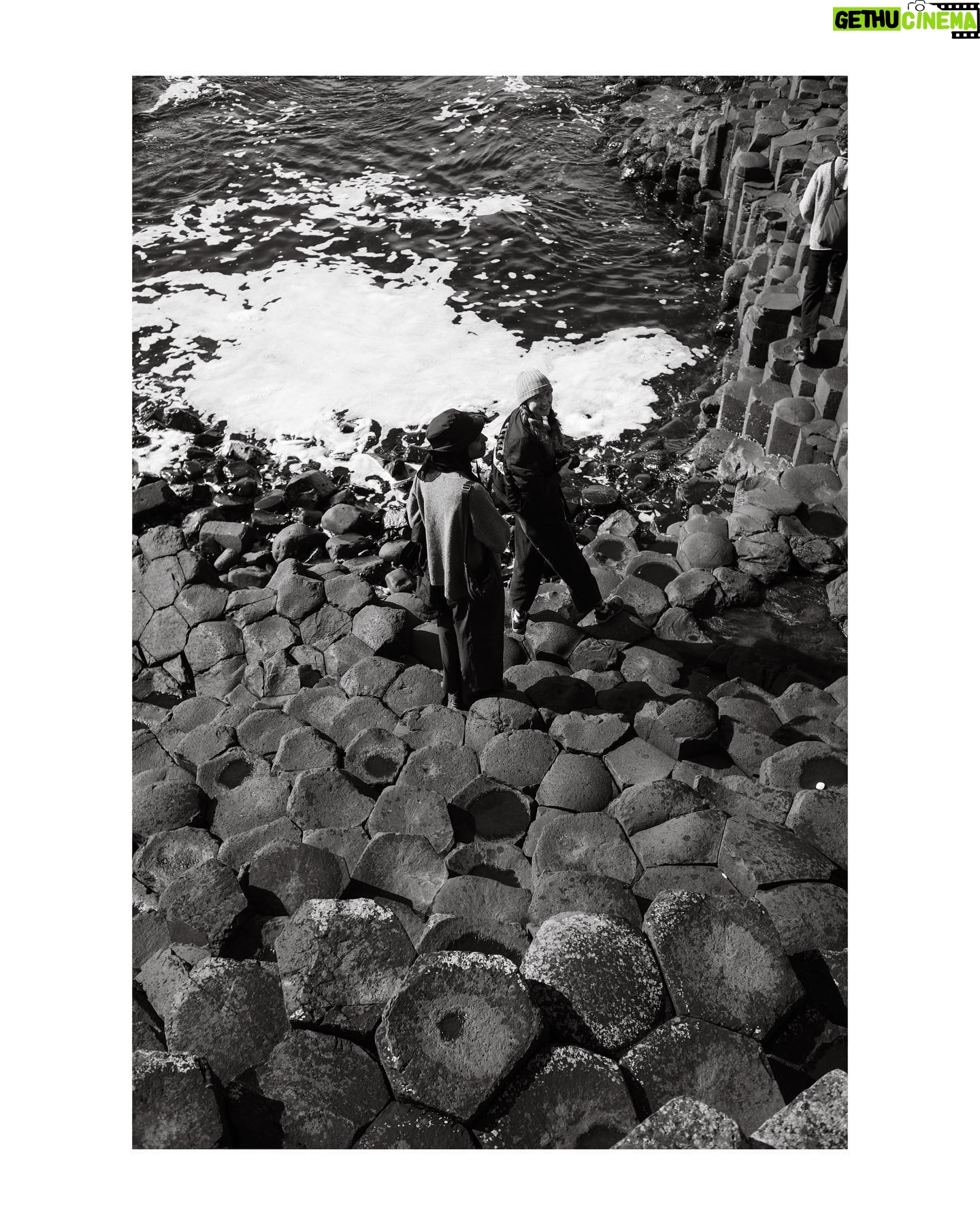 Lily Cole - 3 Likes - rock hive ~ 40,000 basalt hexagonal columns ~ formed from a lake of lava 50-60 million (or so) years ago ~ the hexagon is the most efficient shape to tessellate into ~ perhaps nature knows it’s the most beautiful shape too ~ as the bees do (divine) geometry
📷 @jacksonparrell