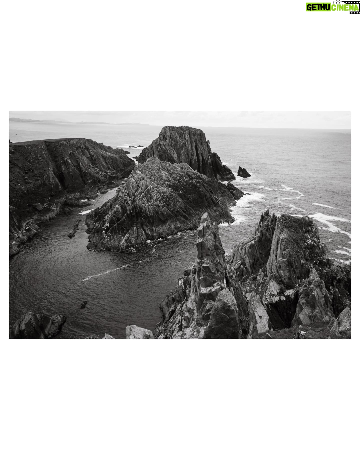 Lily Cole - 3 Likes - ~ end of the island ~
📷 @jacksonparrell