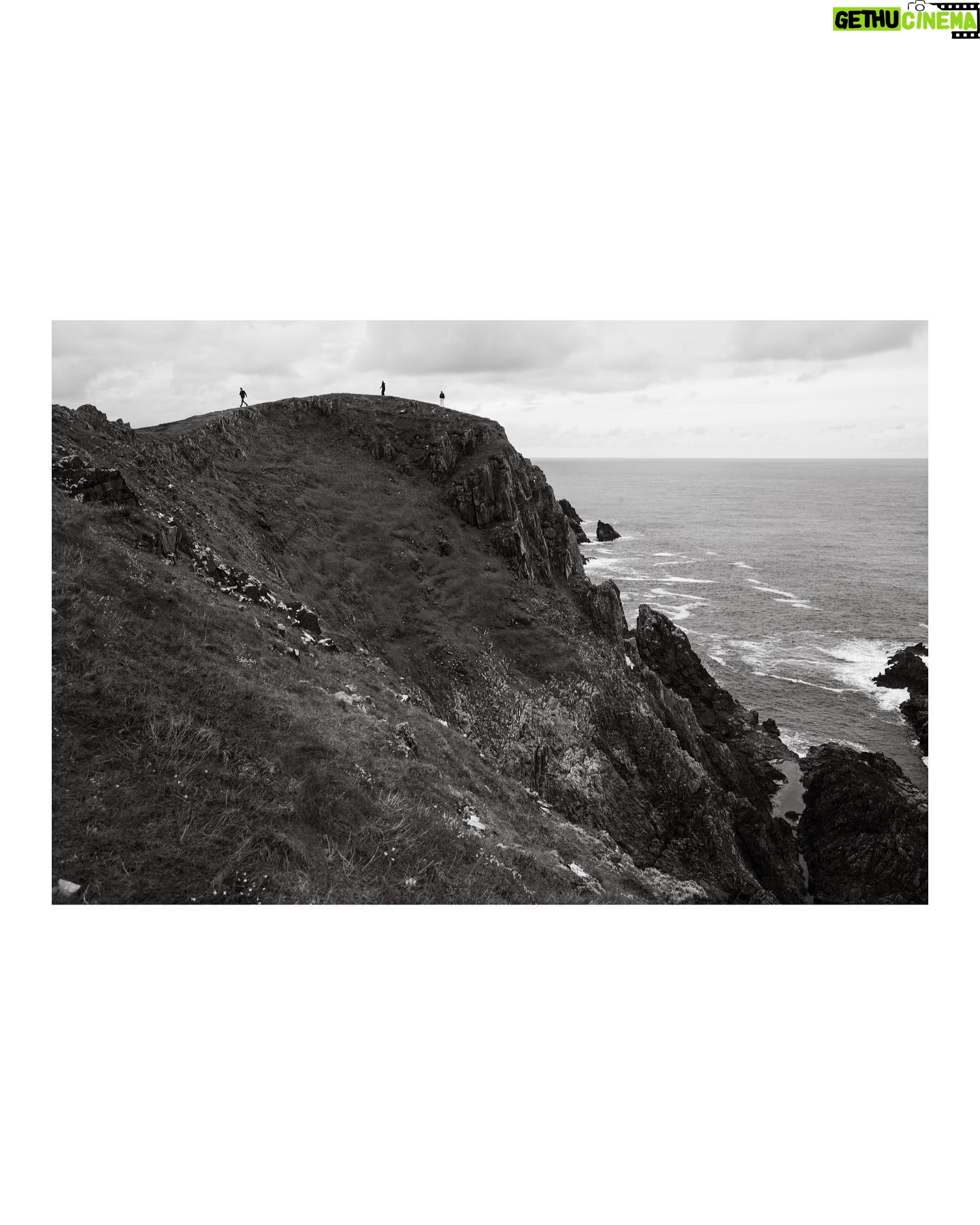 Lily Cole - 3 Likes - ~ end of the island ~
📷 @jacksonparrell