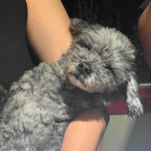 Lim Se-mi Instagram - 