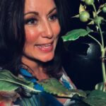 Lisa Nilsson