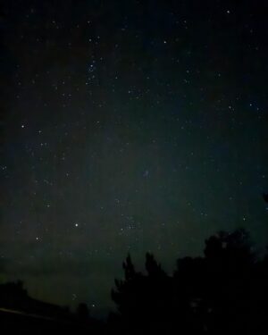 Lisa Nilsson Instagram - Denna natt bjöd himlen på mästerliga naturtillstånd! 
Får inte nog. Norrsken mitt i vår skärgårdskväll! Lägereld och samtal vid världens ände - med hela stjärnhimlen som fond. 
Ena bror introducerade mig för en ny app för stjärnhimlen som troligen kommer att hålla mig sömnlös resten av livet. Jag fångade somliga vyer på min ensliga promenad hem till mitt.. 
Efter en stund på berget med astronomi och mörkerläggning gick det upp för mig vad allting var - så som min astronomikunnige styvfar en gång i tiden försökte uppmärksamma mig på.. småningom bröt jag ut i gråt på ett sätt som inte går att förklara med annat än att jag helt sonika kom FÖR NÄRA.. alltet, den gudomliga ekvationen osv.
Man blir så väldigt tyst, när väl insikten fäster på om vilka stjärnor de individuella prickarna är.. när man via en iPhone-app står öga mot öga med Mars, Saturnus, Merkurius.. osv. 
Svindlande på ett ”bortom begriplighet-vis” 
Lika ljuvligt varje gång. 
Hur mycket sinnena än hisnar..!

(Appen heter Sky Guide)