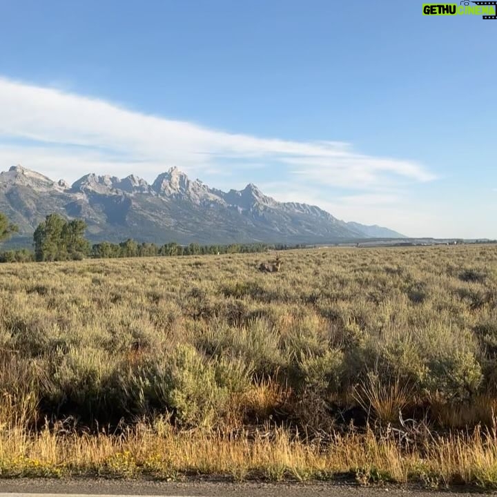 Lucy Hale - 3 Likes - wyoming bringing big majestic energy 🌈🦌