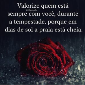Luísa Castel-Branco Instagram - É isto ! Um abraço para todos ❤️❤️❤️
