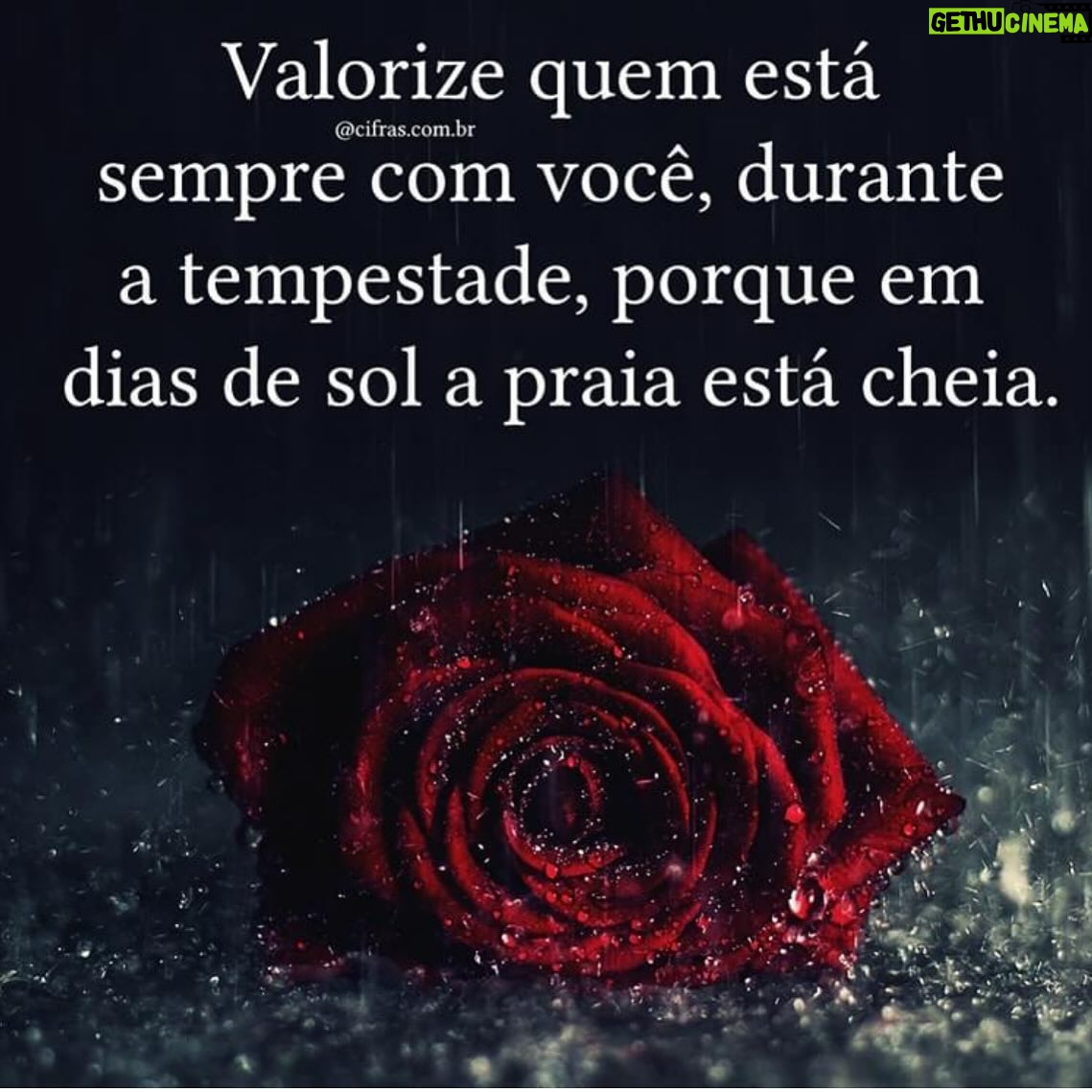 Luísa Castel-Branco - 549 Likes - É isto ! Um abraço para todos ❤️❤️❤️
