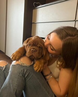 Luísa Gattai Instagram - 