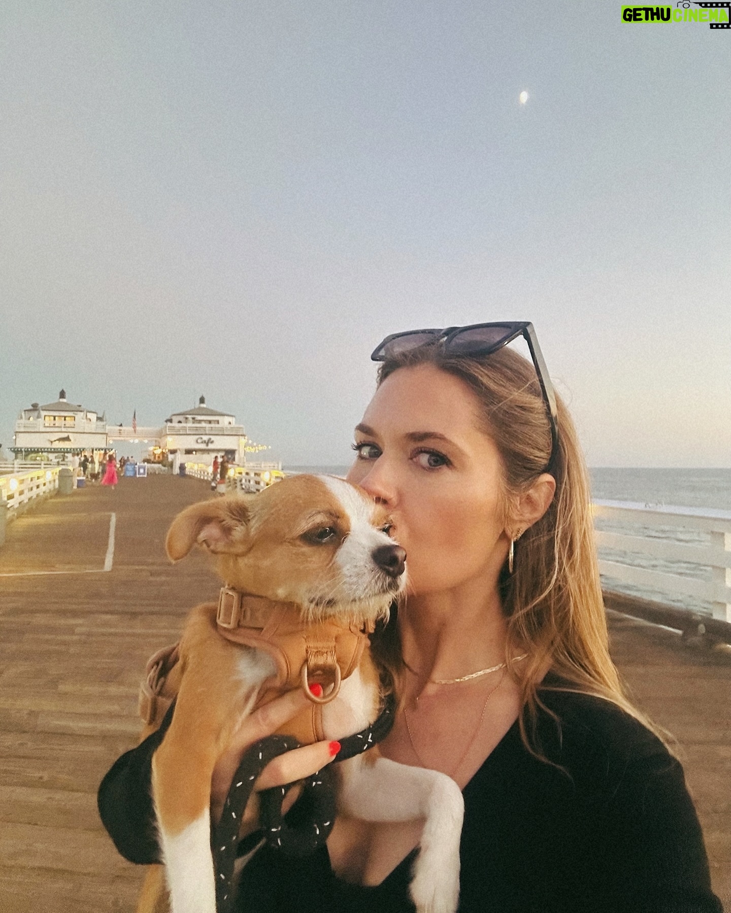 Maggie Lawson - 13.6K Likes - Thank you for all of the birthday wishes! It’s been a special one 💖✨And still going…🥂