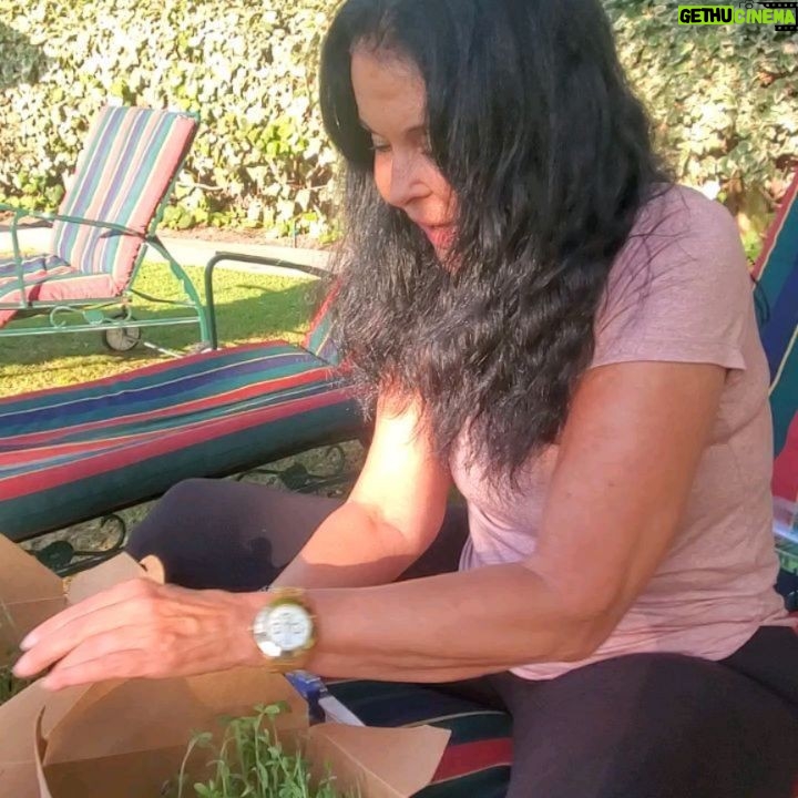 María Conchita Alonso - 3.9K Likes - Video Castellano/English.
❤🙂
Aquí aprendemos hasta a sembrar, muy importante hoy dia... Me encanta!
🌱🌱
Learning how to plant food, needed nowdays, and I love the sprouts! 🙃
#MariaConchita
#MariaConchitaÚnica
#MariaConchitaAlonso
