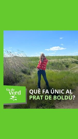 María Gómez Instagram - 🌾 Per què el Prat de Boldú és especial? Artur Lluent, tècnic del Servei Fauna i Flora de la @gencat, t’ho explica a #VadeVerd.

▶️ Recupera el programa presentat per @maria.gomezg a rtveplay.cat