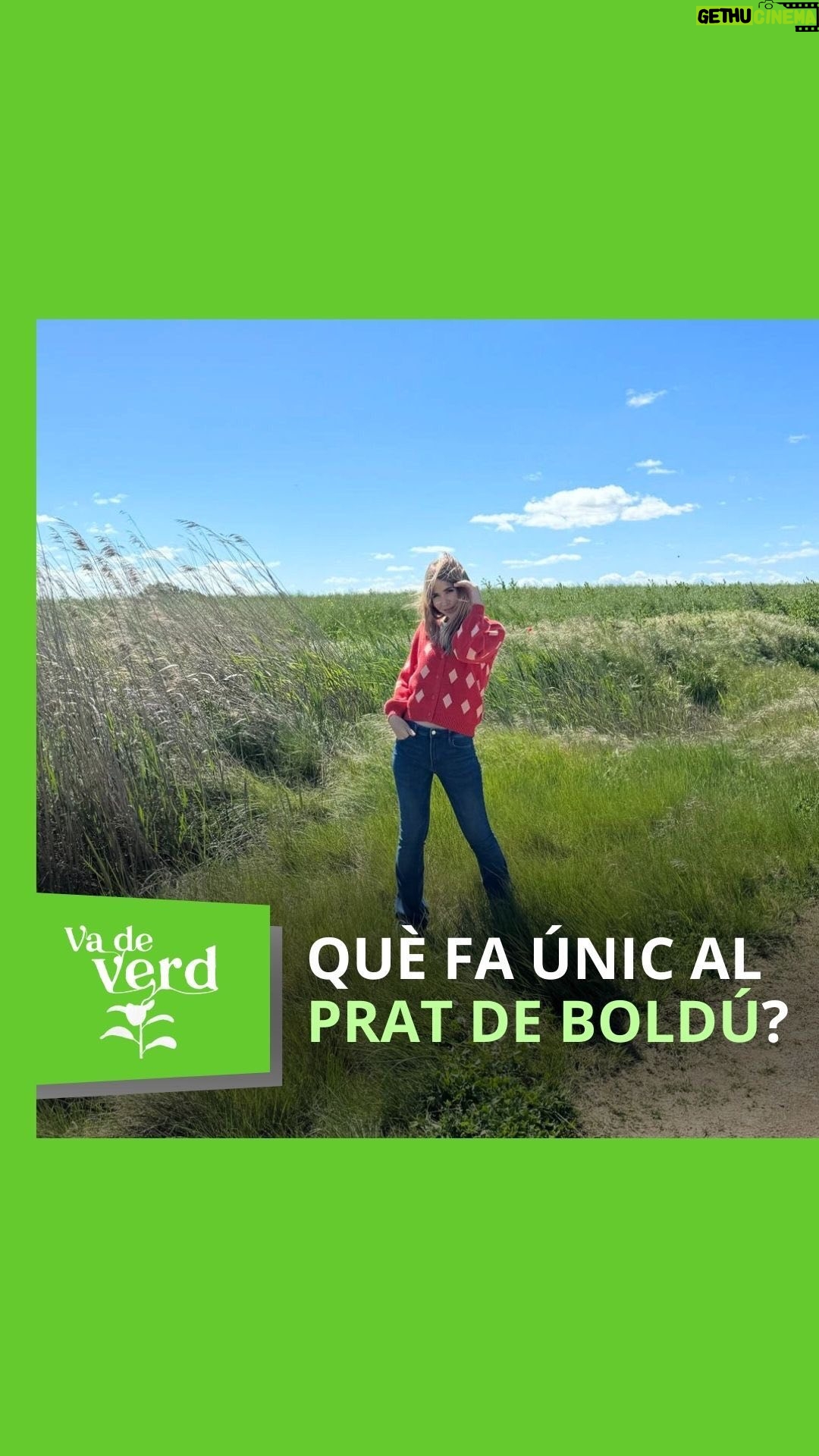 María Gómez - 175 Likes - 🌾 Per què el Prat de Boldú és especial? Artur Lluent, tècnic del Servei Fauna i Flora de la @gencat, t’ho explica a #VadeVerd.
▶️ Recupera el programa presentat per @maria.gomezg a rtveplay.cat