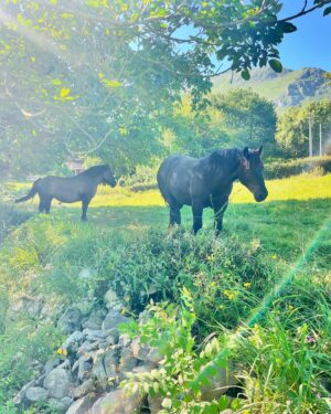 Mariam Hernández Instagram - 14 días por el norte , vaya planazo pequeña , qué gustazo que me sigas el ritmo (que no es fácil ). ❣️

#furgoneteo #manoamano #vuelvosinlumbagoyesoesexito