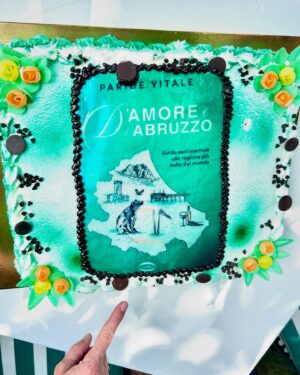 Marisa Passera Instagram - Grazie amico mio della vita @paridevitale per questi giorni ricolmi d’Amore e d’Abruzzo , di polpette e di amici , di risate da cadere per terra e pianti a catinelle, di volpi a cena e di cervi a bordo strada , di milioni di parole gridate e cantate e qualcuna anche sussurrata, di respiro finalmente . E alla fine ieri ho visto perfino  un cucciolo di orso che mangiucchiava nel bosco, e ne rimarrò per sempre incantata 💚 grazie per aver creato questa famiglia di cui per fortuna faccio parte , grazie per aver accolto la mia famiglia, grazie amici miei tutti che siete così speciali ✨✨✨✨✨✨✨#damoreedabruzzo #pescasserolistateofmind