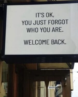 Maryam Basir Instagram - It’s ok, you just forgot who you are.
Welcome back 🦩