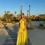 Mayan ElSayed