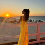 Mayan ElSayed