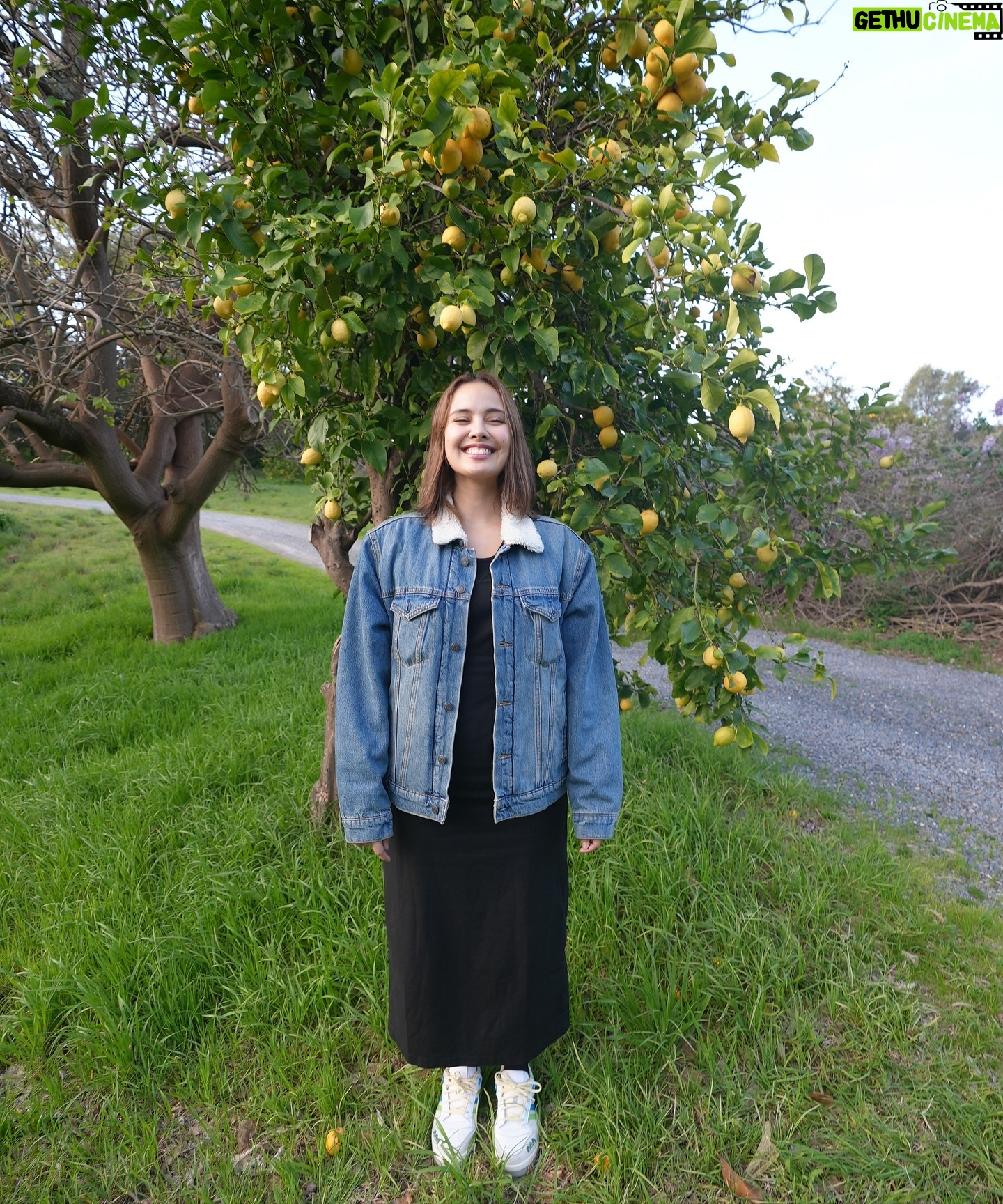 Meganne Young - 98.9K Likes - I want my own lemon tree 🍋 but since that probably won’t happen anytime soon, I’ll dream through our photos 😁 hello from Adelaide!! Here to celebrate the marriage of our inaanak - yes, mga ninong at ninang na kami sa kasal 😆 it was a full day of socializing and high energy - so in the last slide, Fofo took a picture of the state he found me in while I was recharging my social battery 🫣