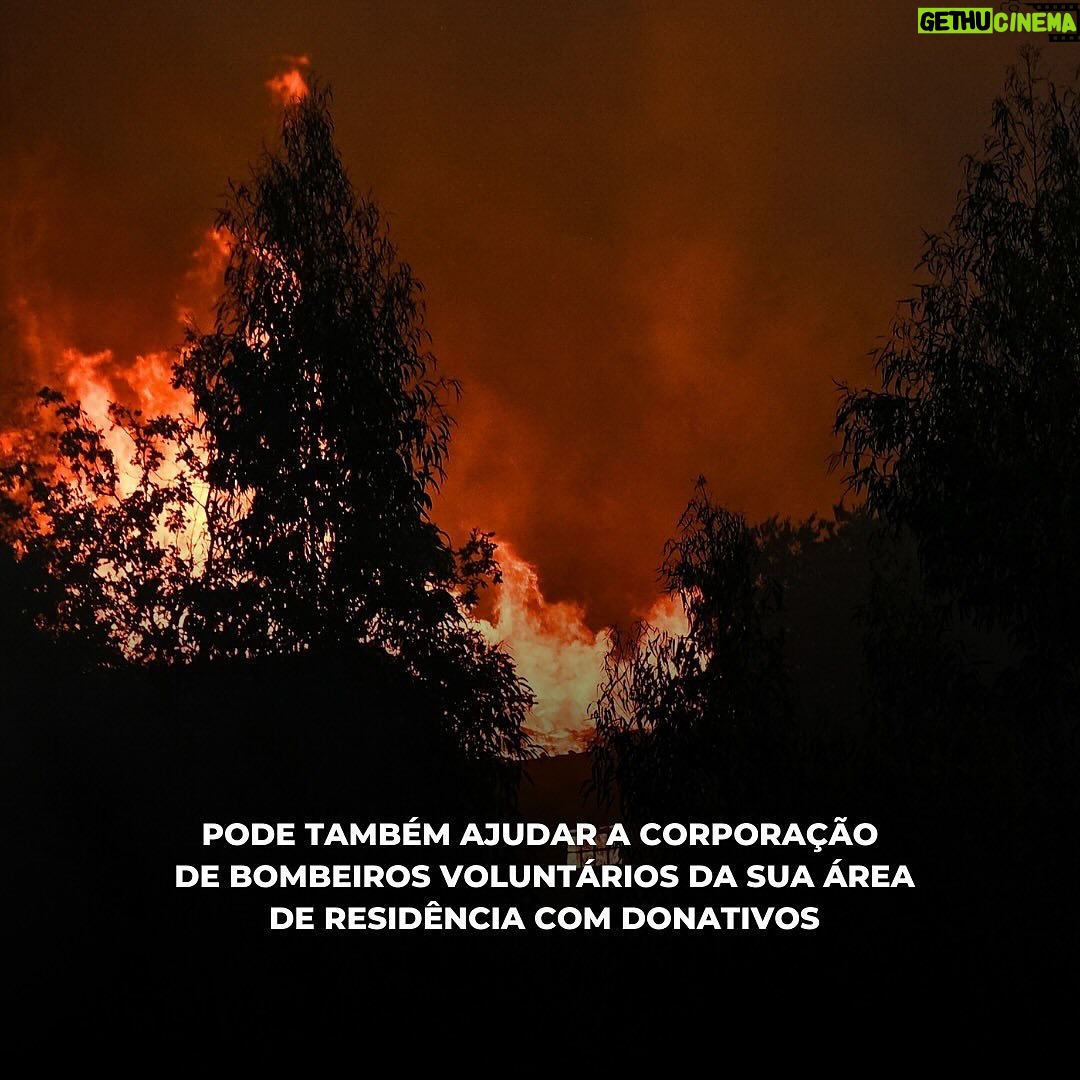 Melânia Gomes - 208 Likes - @sicoficial Os incêndios estão a assolar Portugal e há formas de ajudar os Bombeiros. Veja este guia de apoio ao combate aos fogos e mantenha-se protegido 👈🏽
#incendios #fogos