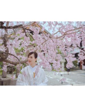 Mew Azama Instagram - 👘

photo @yoheyphoto 
hairmake @kakikana 
direction @enkana 
kimono @number5_n5 
flower @sous_bois_kyoto 
location @rokumonjiya_okabun