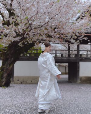 Mew Azama Instagram - 👘

photo @yoheyphoto 
hairmake @kakikana 
direction @enkana 
kimono @number5_n5 
flower @sous_bois_kyoto 
location @rokumonjiya_okabun
