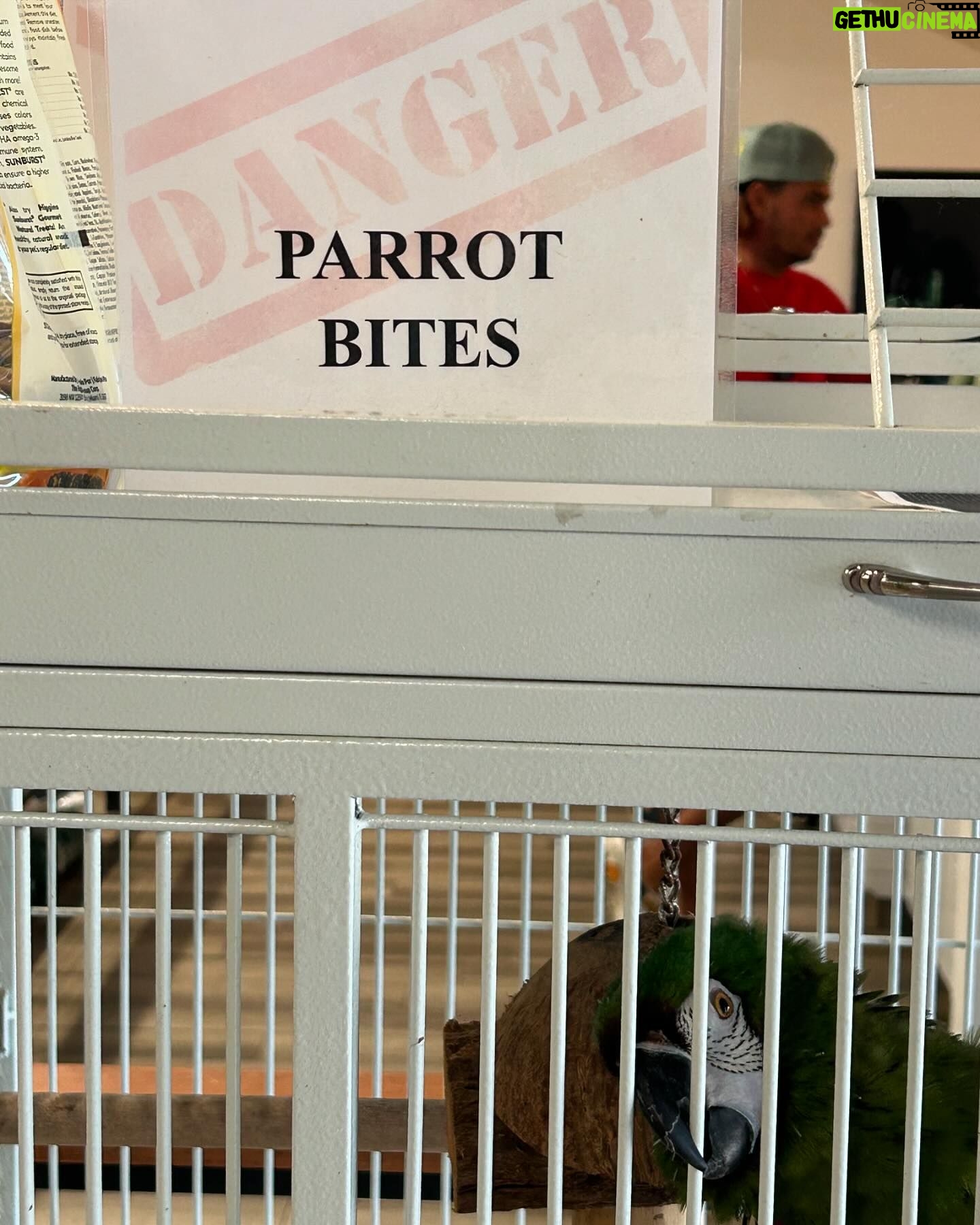 Micaela Wittman - 7.6K Likes - Parrot bites