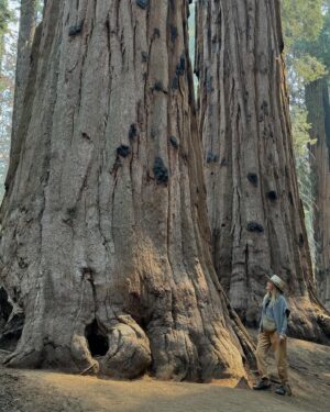 Michelle Monaghan Instagram - A majestic lil weekend🌲💫☺️#sequoianationalpark #labordayweekend