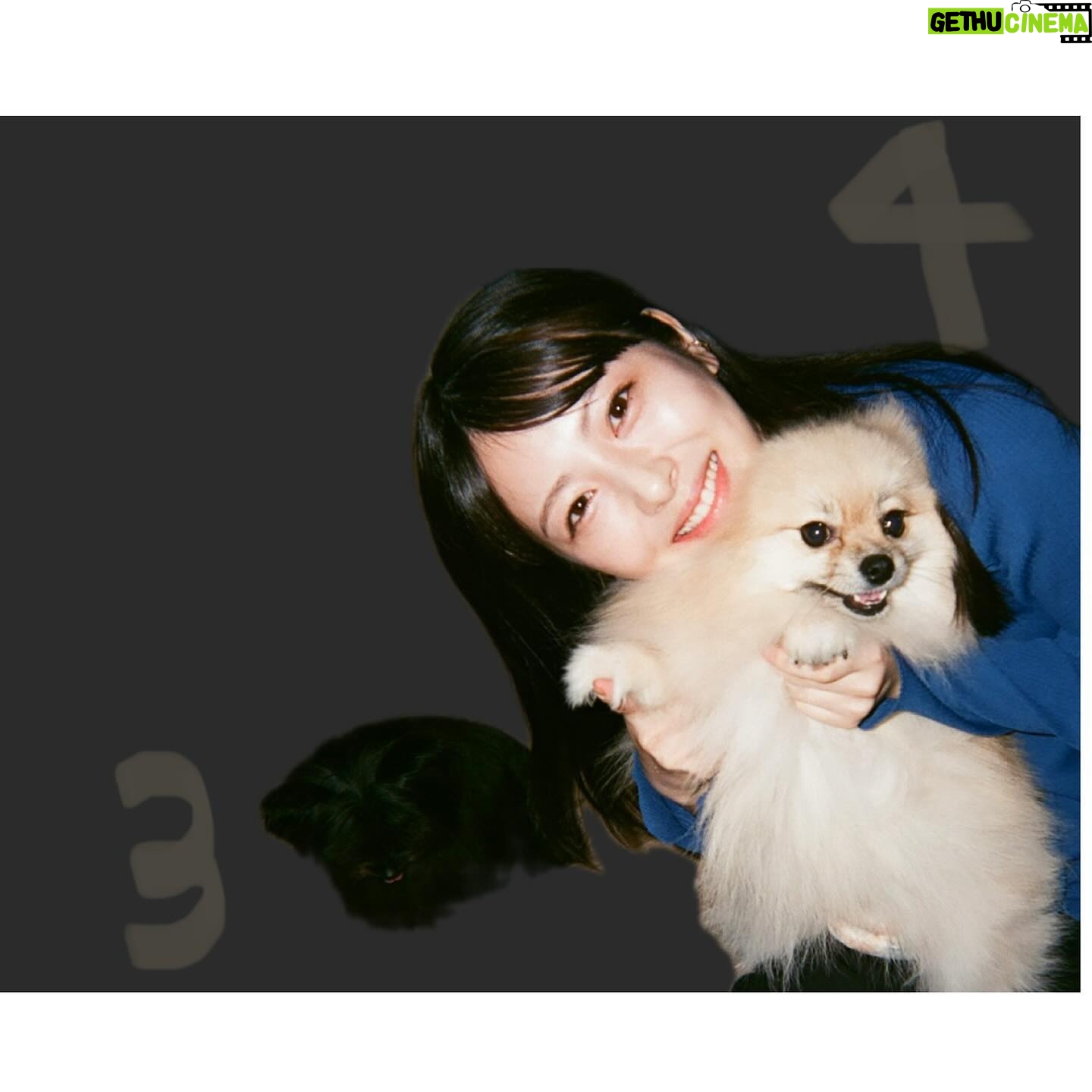 Minami Hamabe - 269.8K Likes - 8月29日🐜
愛娘2人と共にまた無事に迎えられたこと、とても幸せです🐜
ぽぷは4歳 こぺは3歳を迎えております🐜
お祝いしてくださった皆さま!ありがとうございました🐜
年齢だけではなく自分の心の豊かさも積み重ねてゆきたいです🐜
そして更にわんちゃんずとモフり、モフられ、ワン、ワられ、愛するものたちを自分の手で抱きしめて🐜私らしく🐜
お仕事も勿論、誠心誠意、務めてゆく所存です🐜
年齢を1つ重ねることで劇的に変化できることはないかもしれませんが、何事も丁寧に向き合ってまいりますので、皆さまどうぞ…こんな私ですが…引き続きよろしくお願いいたします🐜
投稿に載せる写真は今年も迷ったのですが…
今年は珍しいテイストの写真たちです🐜
友人が撮ってくれる写真は顔が賑やかです🐜
🐜🐜🐜
投稿の中の友人は業界の違う方です🐜
そのため現像した写真から技術を借りてまず友人を消し、その上から更に白く塗りつぶし投稿しています🐜友人も了承済みです🐜
投稿に文章以外の何かを示唆する意図はございませんので、誤解なきようお願いいたします🐜