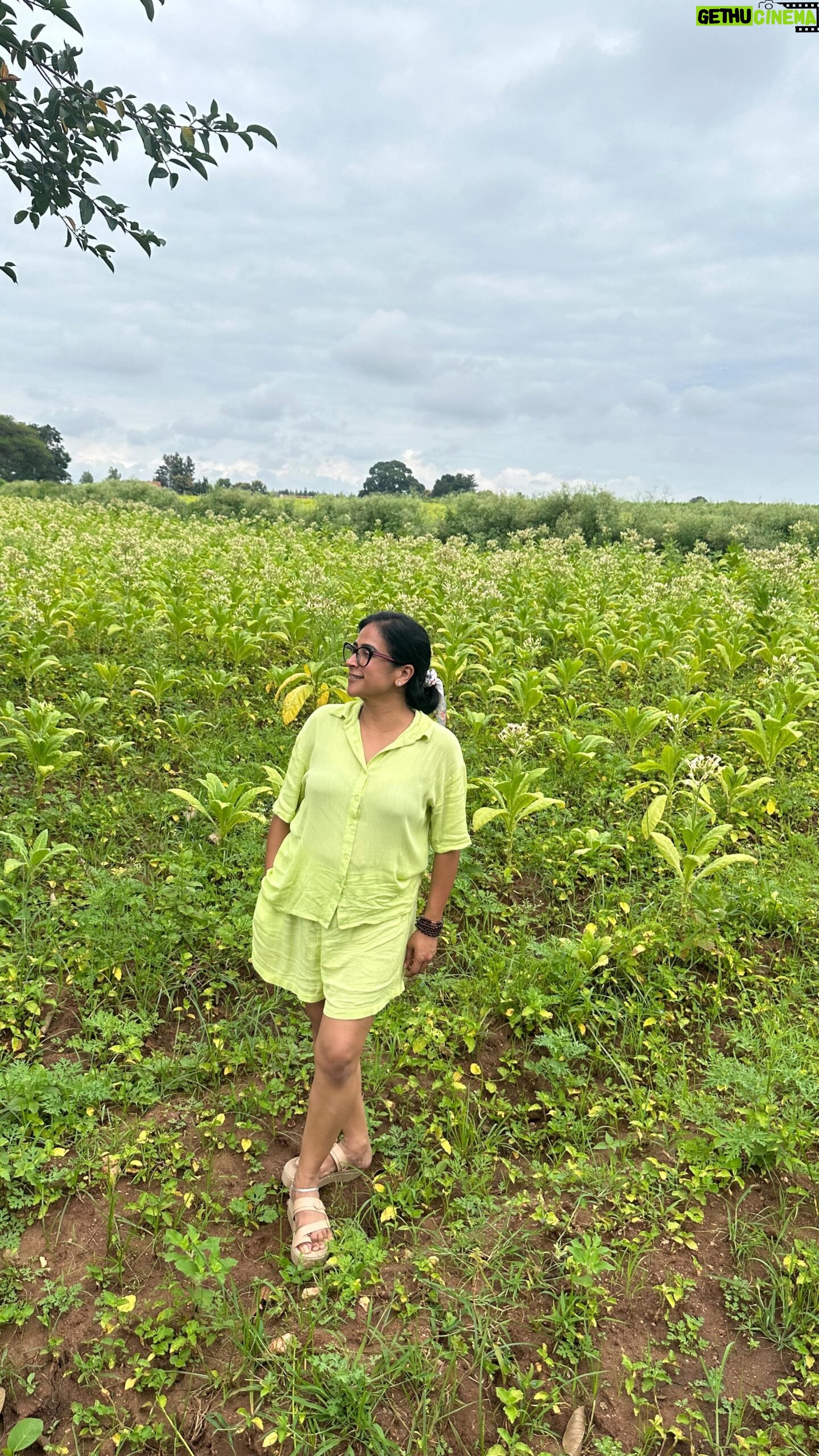 Mona Kakade - 1.5K Likes - Look what all I do,just to keep the account engaged 👻

We as people, for that matter me as a person and as an artiste, are beyond all this and  much capable than what we portray ourselves to be, on Instagram.

Am sure many relate to this (be an influencer or an artiste) trying to make sure we are on the minds of many who could give us work opportunities😇

Trying to be original and be myself, sure is a challenge💪🏽
Convincing myself  to keep going and making it as much natural as it can be is what I aim at 😇💕

#monabedre 
#actor 
#instagood 
#monday 
#thoughts