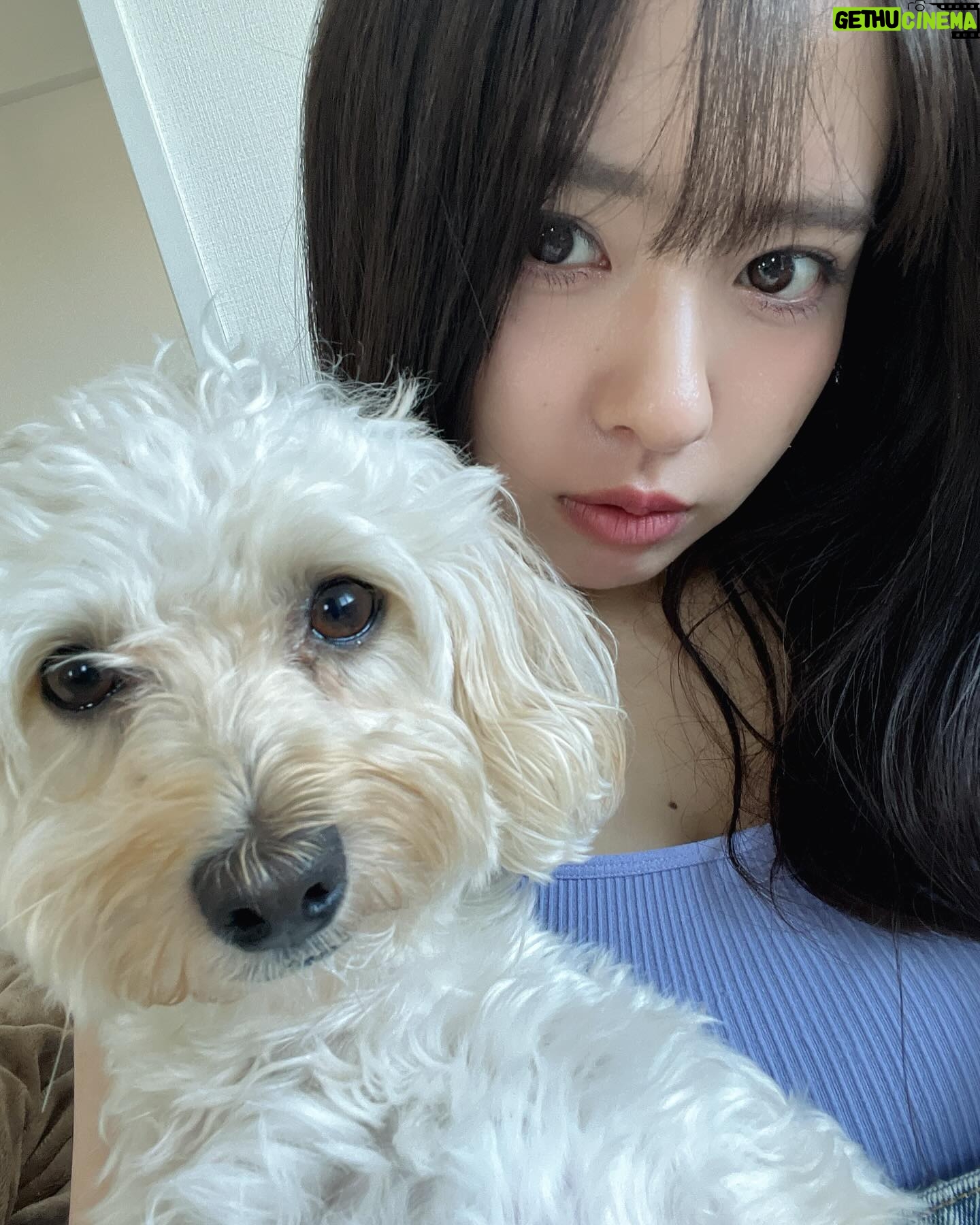 Nana Yamada - 6.5K Likes - またあした👋