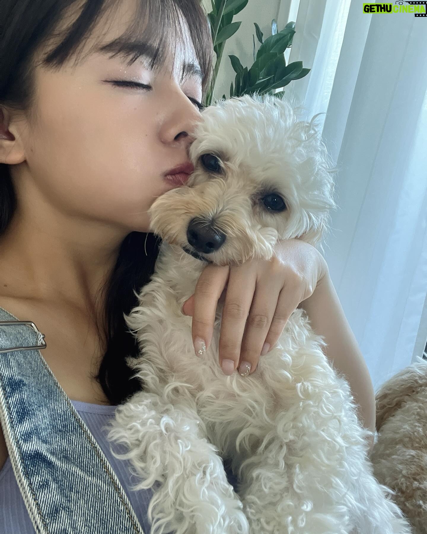 Nana Yamada - 6.5K Likes - またあした👋