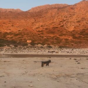 Natasa Exintaveloni Instagram - Τα πρωινά, τ’ απογεύματα,
σε βαγόνια κλεισμένο
προσπαθεί ν’ αποφύγει
σώματα άλλα
το σώμα
μέσα στο οποίο υπάρχω,
αυτό, που με προδίδει σταθερά
και θα το κάνει πάλι
αν κάποτε, ποτέ, σε ξαναδώ,
κι ενώ εγώ θα πηγαίνω
κάπου αλλού
εκείνο θα έρχεται ολόκληρο
σε σένα.
Μυρσίνη Γκανά