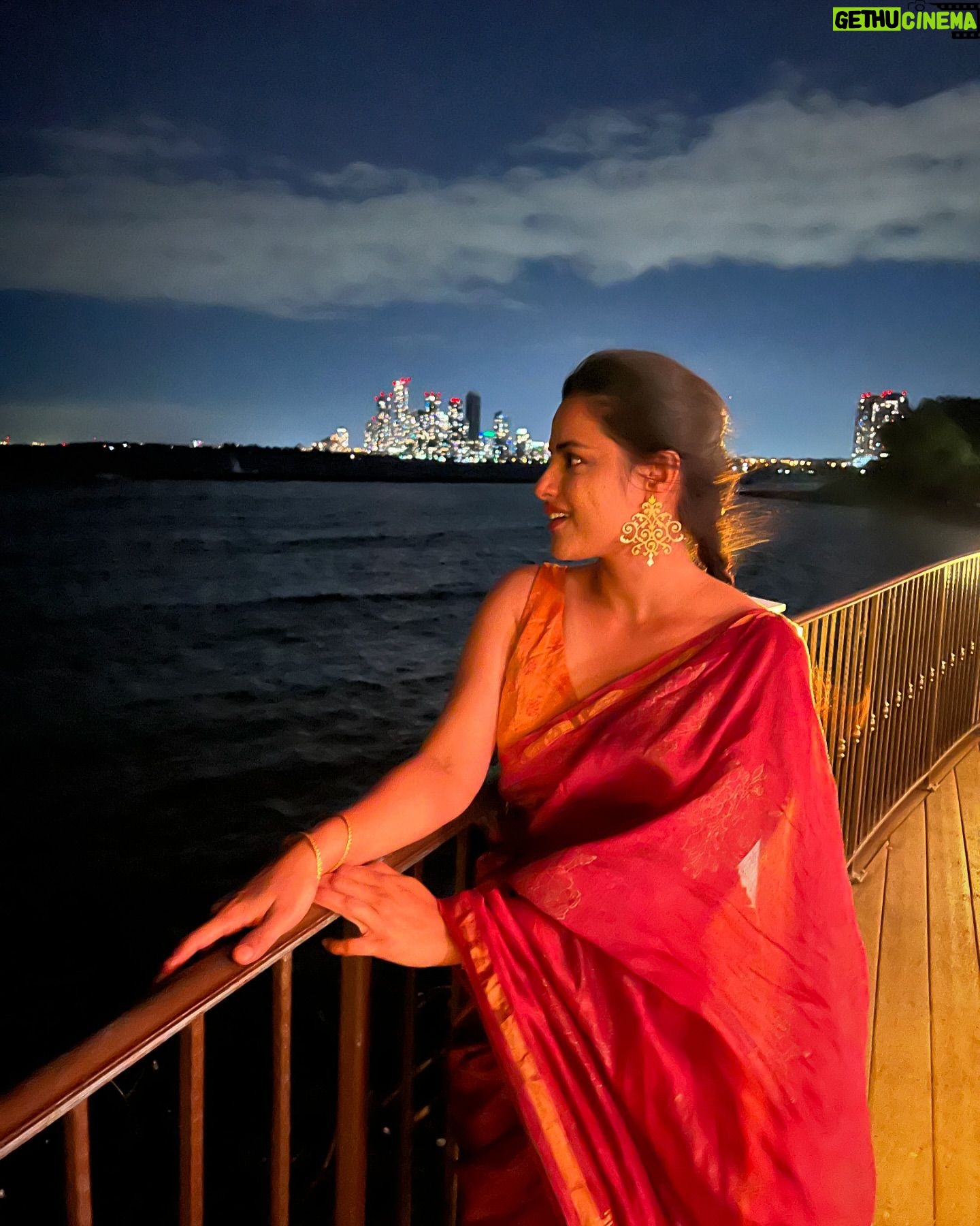 Neha Mahajan - 4.4K Likes - Swans in the city lake of Toronto 🦢 🫢