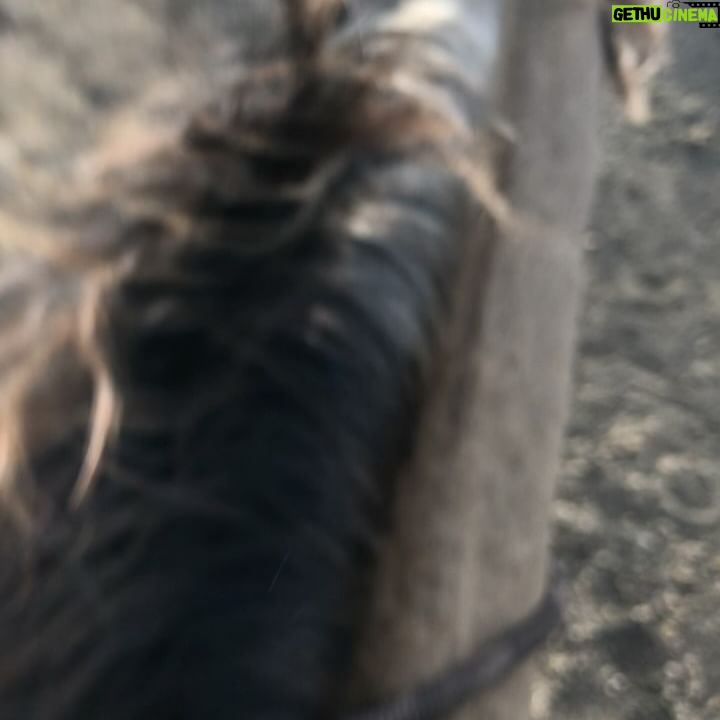 Nikki Reed - 86.2K Likes - Cowgirl things 🌾