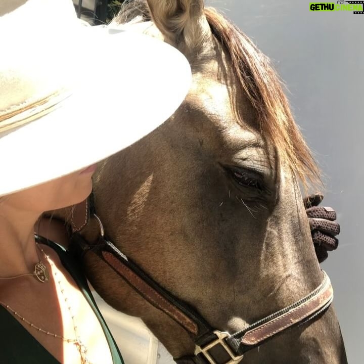 Nikki Reed - 86.2K Likes - Cowgirl things 🌾